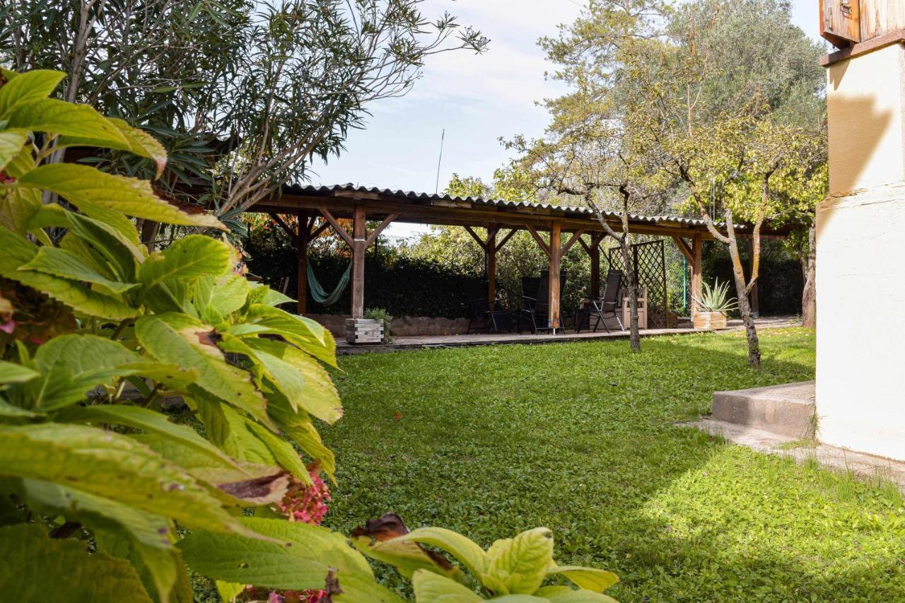 Camps Casa Planta Baja Con Jardin *
