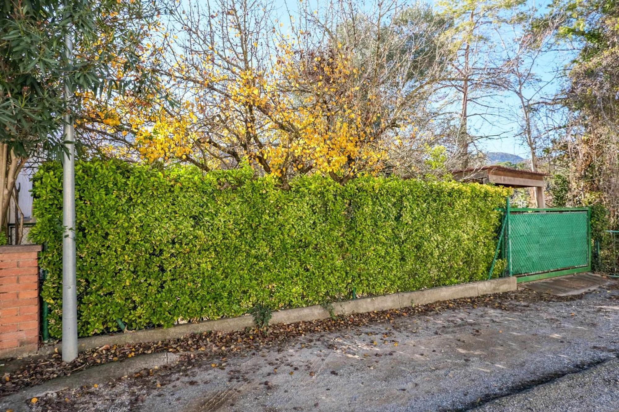 Holiday home Camps Casa Planta Baja Con Jardin Besalu